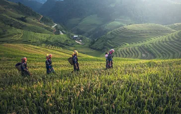 Industry Sectors Agriculture Plantation and Fishery 